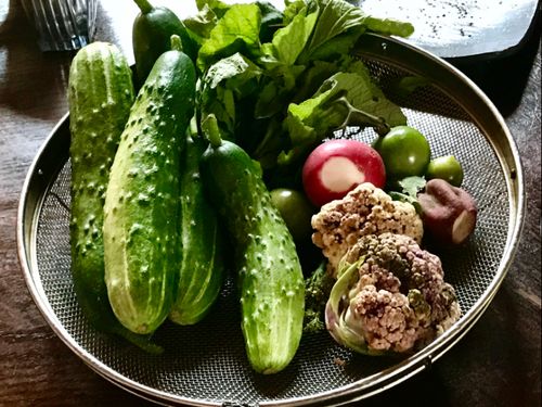 標高の高い伊那市で獲れる野菜は、甘みも栄養も満点！