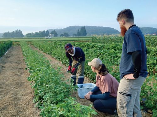 伝承野菜もつくる少量多品種栽培農家のもとに毎週通ったお二人。得るものが多かったようです！