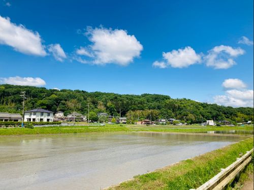 道場町ののどかな田園風景