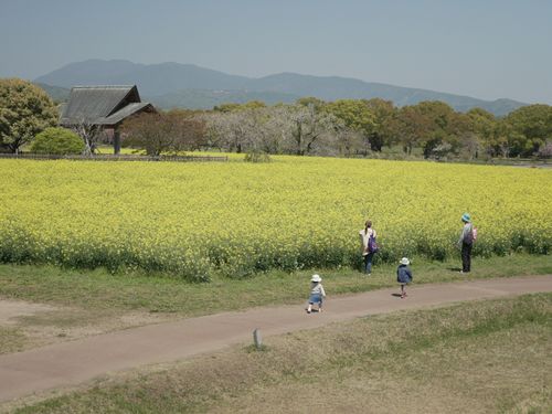 お試し滞在助成金制度を使ってお得に西都移住を体験してみませんか？