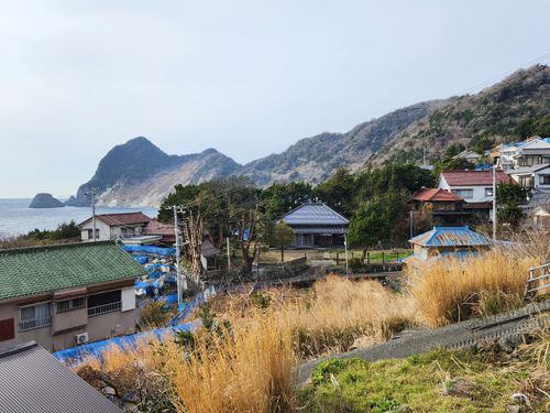 第５回の植樹場所