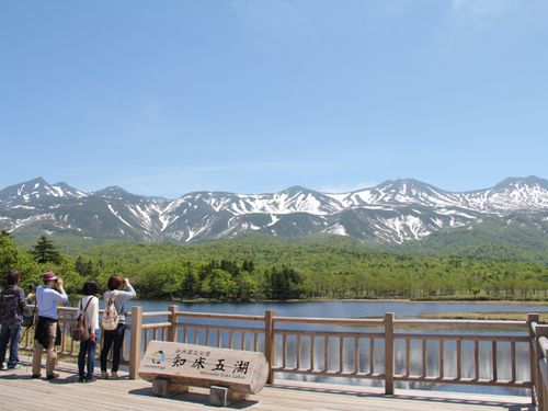 知床連山を背景に原生林の中にたたずむ神秘的な湖「知床五湖」