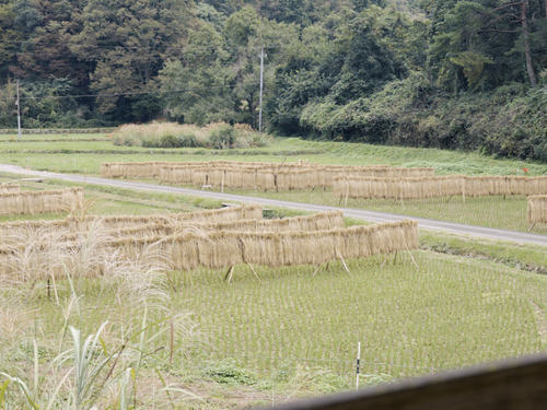 ２階の窓から見える田園風景。