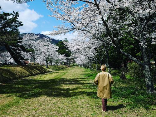 桜の季節