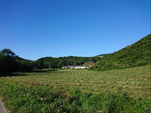 面積の9割を山が占める岩泉町、山の間に採草地や放牧地が広がります。