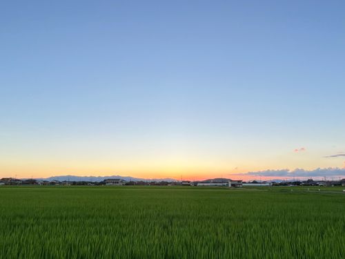 豊かに拡がる穀倉地帯