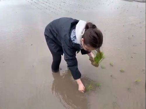 オンラインイベント時に、現地で田植えを行う村木さん