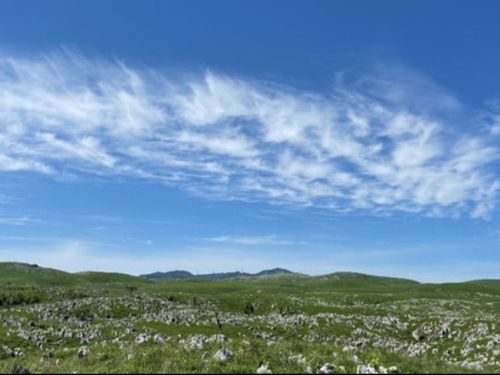 日本最大級のカルスト台地　”秋吉台”
