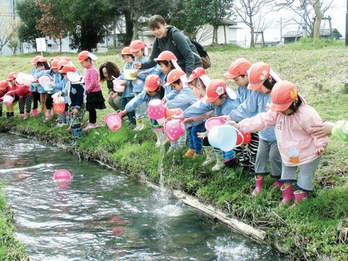 ホタルの幼虫を河川へ放流する園児