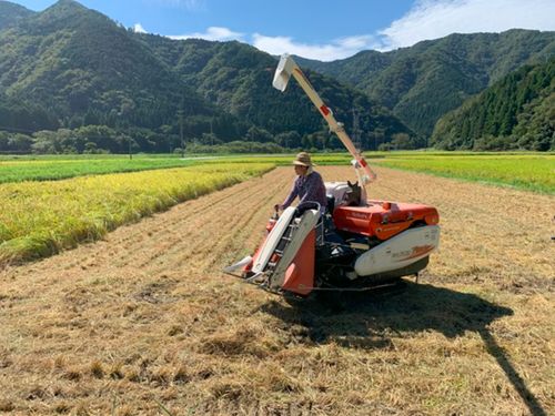 何でもやっちゃう！　稲の収穫応援でコンバイン初体験
