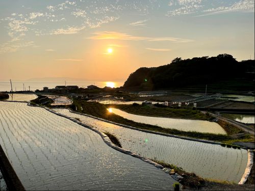 棚田の夕暮れ