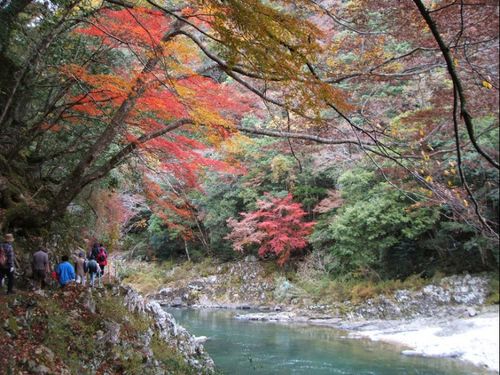 川上地域の長門峡。紅葉季節には多くの人が訪れます。
