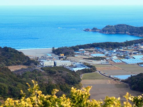 海と共に暮らすことができるまちです！