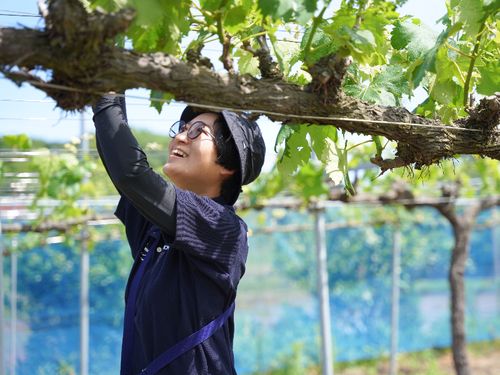 第一次産業の現場で働く大人の島留学生