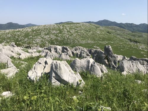 日本最大級のカルスト台地「秋吉台」