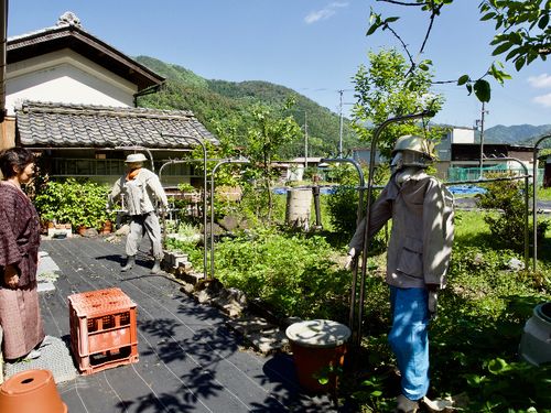 サルたちから野菜を守る手作り案山子はチャーリーとケトルと名付けた