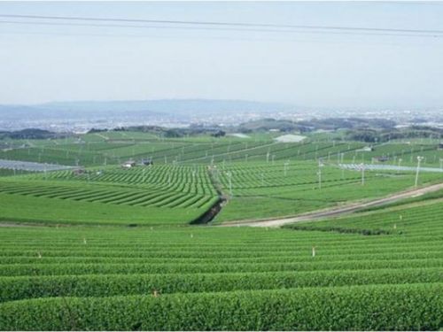 福岡県八女市の山暮らし
