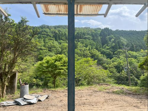 縁側から見たお庭の景色