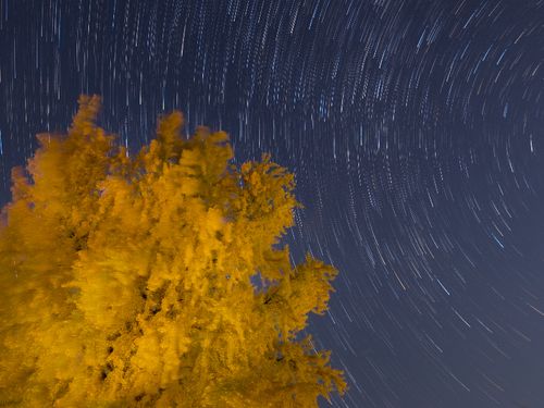 自然豊かな地域で星空もきれいです！（丹生酒殿神社📸かつらぎ町）
