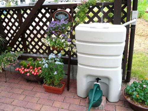 広い敷地なら、雨水も排水より有効利用すべし