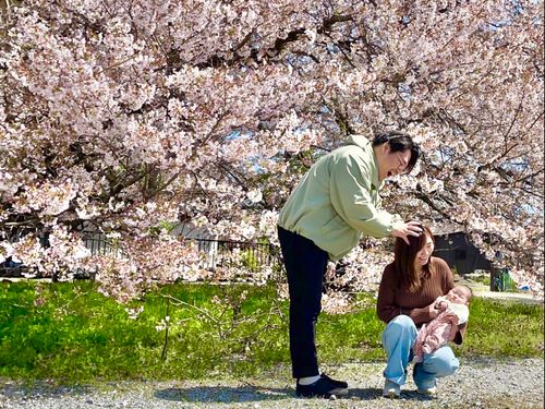 散歩をしていた近所の桜並木。これから家族写真が毎年増えることが楽しみに