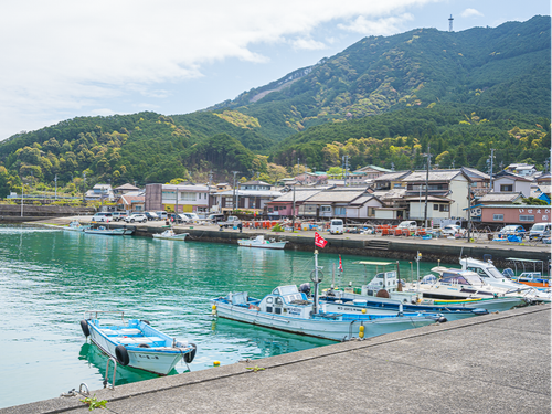 新たな水産資源開拓に取り組む漁師町「大曽根浦」