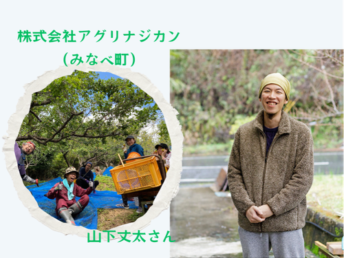 コーディネーター　山下さん（みなべ町）