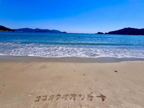 大槌の海はきれい！