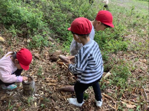 徳地青少年自然の家での体験プログラムのようす