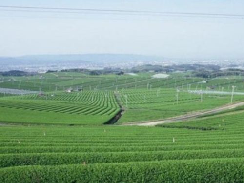 福岡県八女市の山暮らし