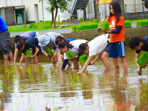 "田植え体験"での1枚