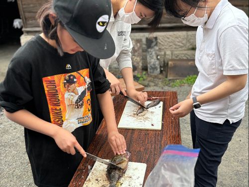 釣った魚を捌けるようになりました！