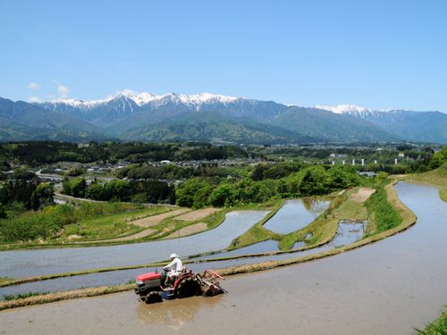 段丘上ののどかな農村風景