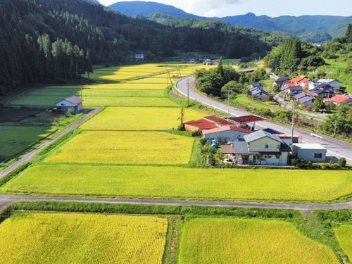 農作業を主とする活動支援団体も。地域の農業と自然を守りながら、人材育成にも力を入れています。農業後継者確保のためのIJUターンに関する活動にも理解があります。