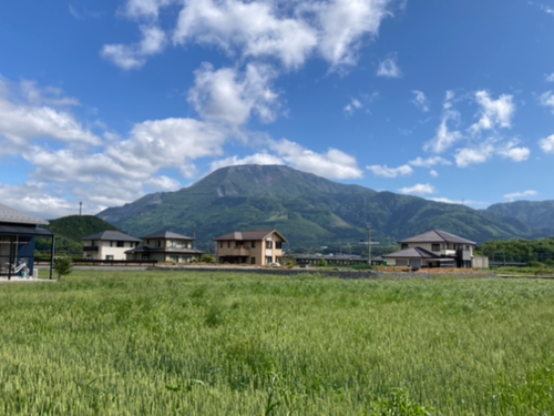 都会から戻ったら、まいばらの静かな景色にホッと深呼吸