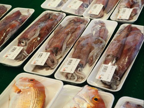 港の魚屋「大漁」に並ぶ鮮魚