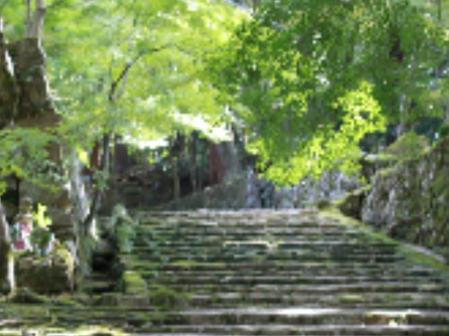 表参道１