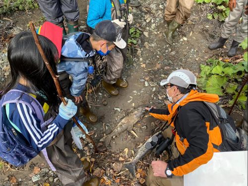 北海道大学中川研究林と開催するイベント「そこここ」