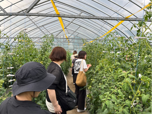 昨年度の現地見学会の様子