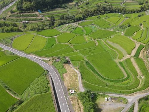 平尾地区の棚田です