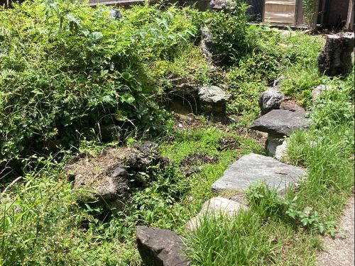 この元・池を復活させます！