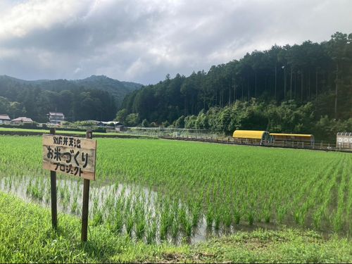 一カ月後の現在の様子