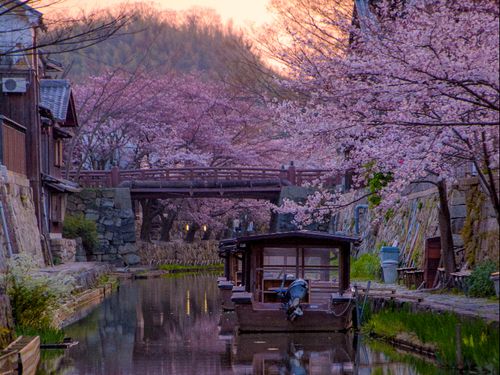 夕暮れの八幡堀