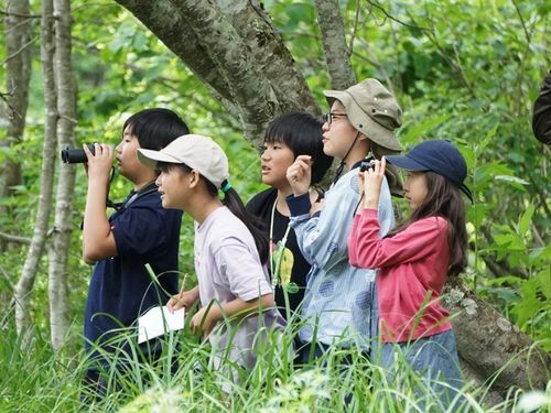 自分で考え仲間と学ぶことで創造力を養います