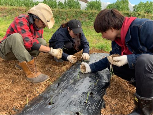 就農相談など農業に興味がある方へのサポートも行っています