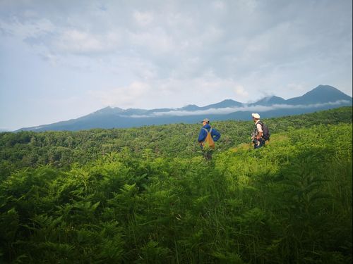 町内に世界自然遺産があります
