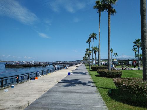 浜名湖と太平洋に面した湖西市