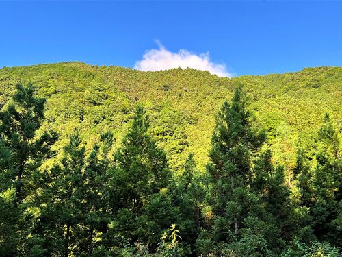 長門の美しい山