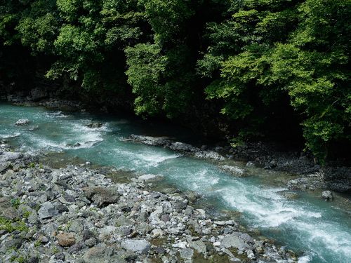 吉野川の支流沿いに家があつまる集落もあり、夏の夜は網戸にして寝ると涼しく川の音もとても心地よいような村です。