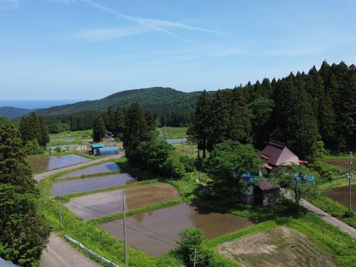 集落の初夏の様子